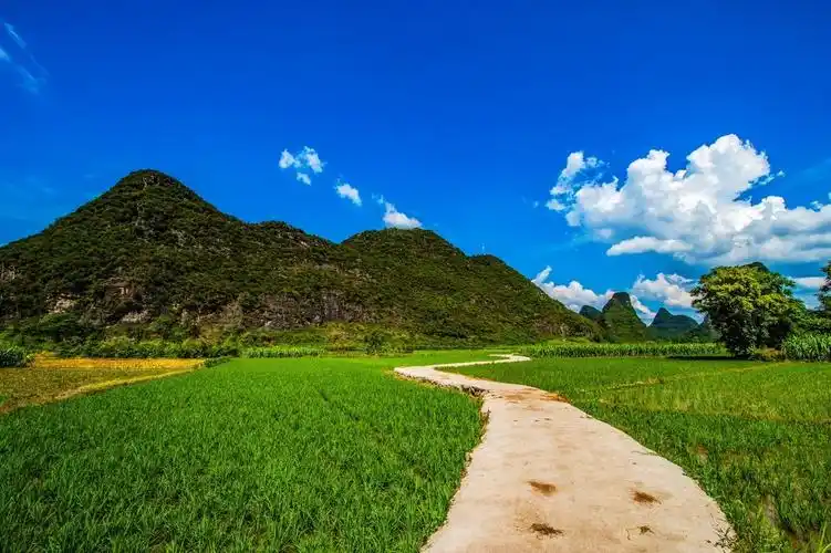 乡村田野风光风景记实拍摄 续