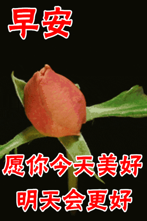 12月13日最漂亮早上好动态表情图片大全