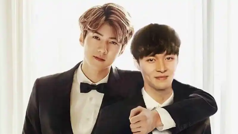 exo的团魂来了,张艺兴,吴世勋在线互动,勋兴粉丝高举大旗!