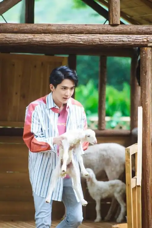 200723 张新成更新《奇妙小森林》剧照 据说这一期橙子哥哥有一点厉害