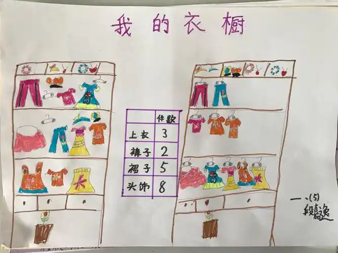 "生活中的分类与整理"数学小报展示