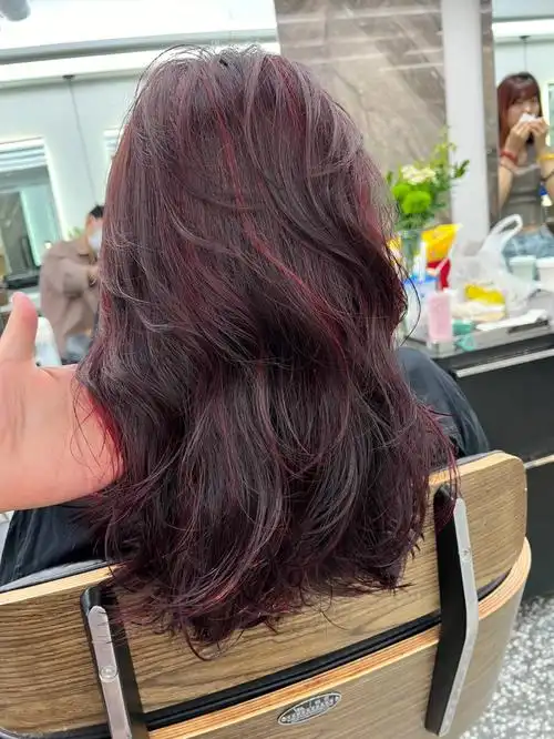 黑加仑紫挑染发色