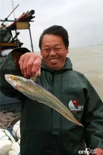 渔民展示曾经捕上的刀鱼