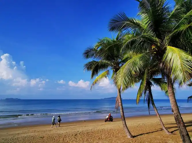 其它 海南三亚印象(下) 写美篇  椰树,海滩,大海是三亚的典型风光.