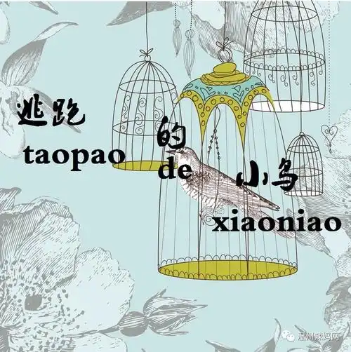 【听故事】 一只鸟,从人类世界的笼子里逃脱出来