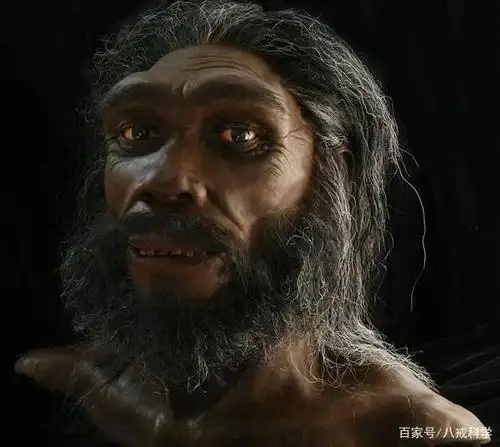 7个已经灭绝的神秘人种!人类能够脱颖而出真是不容易