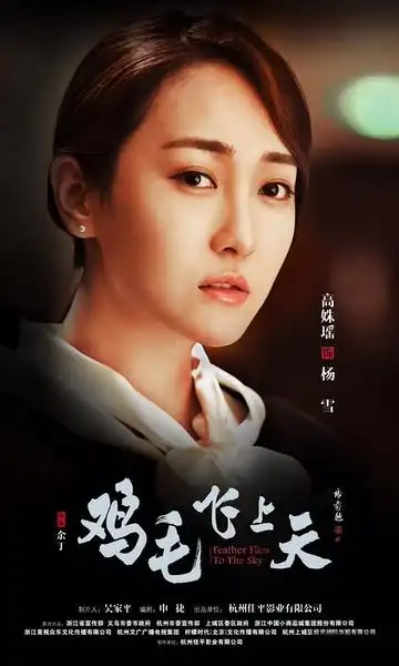 电视剧鸡毛飞上天海报剧照图片