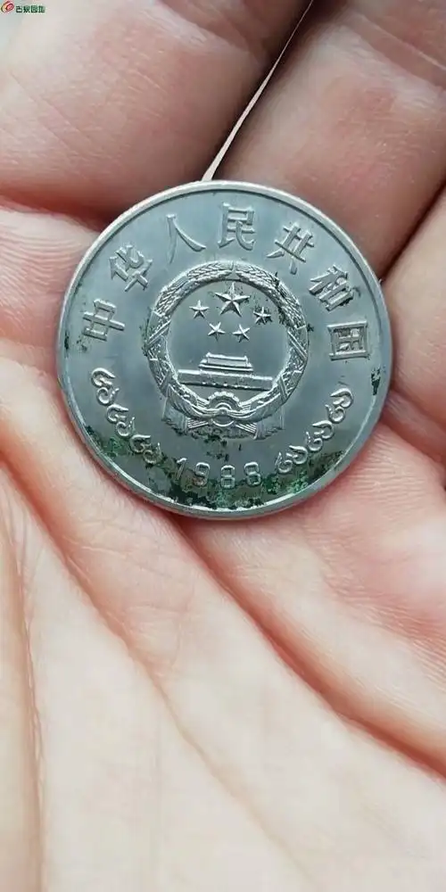 币王建行四十周年纪念币