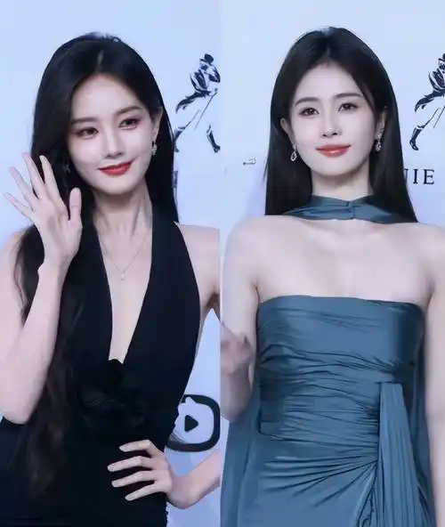 白鹿和李一桐都于正捧红的艺人,二人却有不同发展