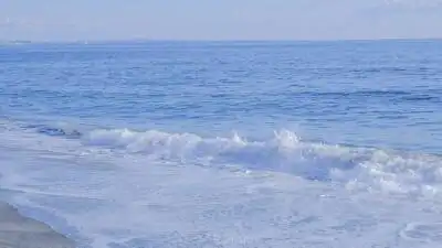 小樱蓝色背景图