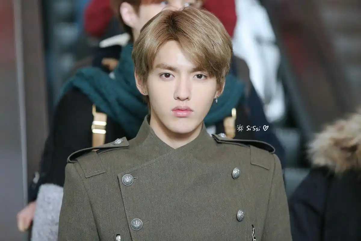 天蝎座,吴亦凡,用实力说话的才子