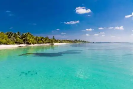 蓝色的大海和沙滩图片