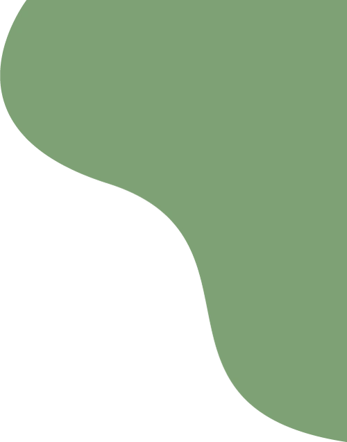 【梅郎创优】悦读悦动悦成长 润智润心乐启航——五(11)班的创优故事