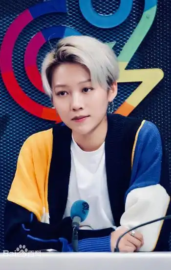 刘雨昕,中国内地流行乐女歌手,蜜蜂少女队成员.