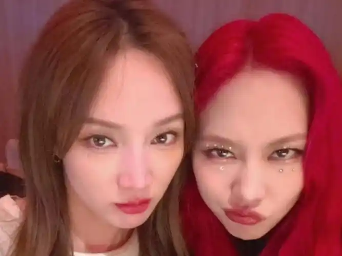 【佳霏猫|孟佳72王霏霏】24年糖点汇总