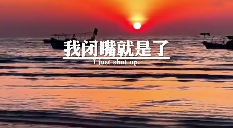 不想回我的消息,就不用回了,嫌我话多,我闭嘴就是了