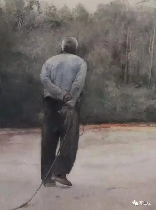 写生啦我的风儿我的歌张冬峰绘画艺术三十年附油画水彩作品集