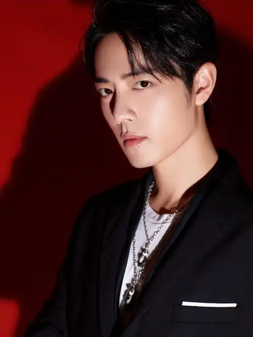 肖战时尚帅气写真