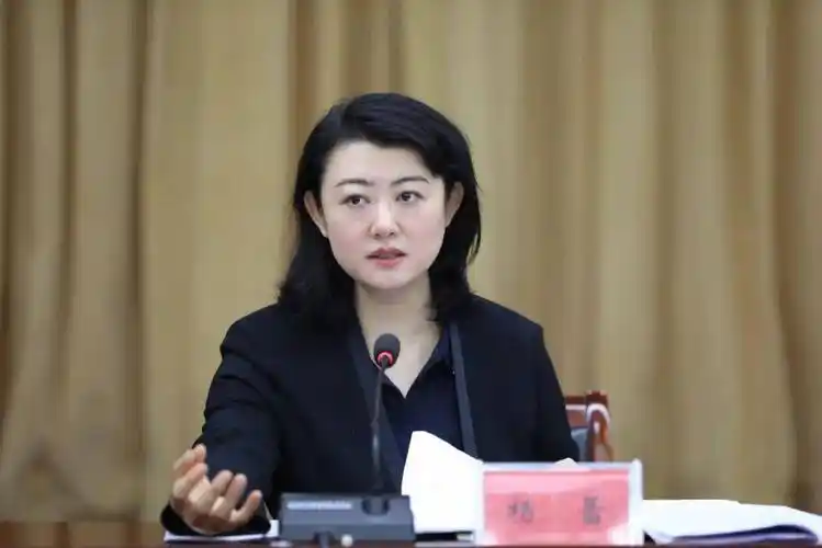 杨蕾:"全面建" "重点创" 深入推进市域社会治理现代化试点及平安任泽