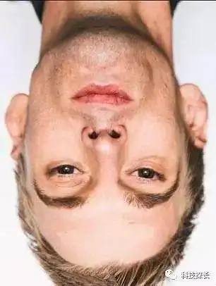 把这些照片倒过来看,神奇的事发生了!