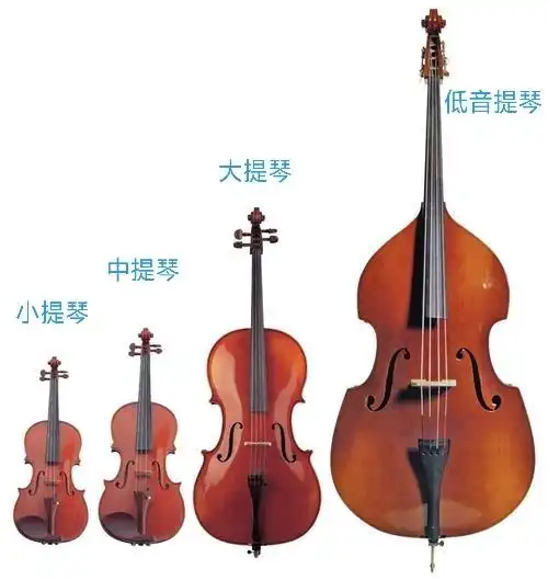 认识乐器:大提琴