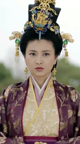 思美人 南后 斓曦 插画