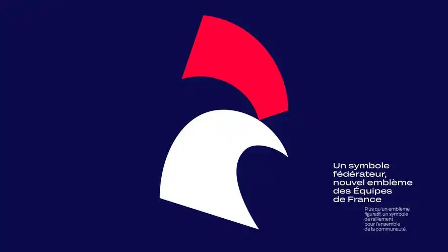 logo设计分享—法国柔道联合会更新logo标志【尼高品牌设计】