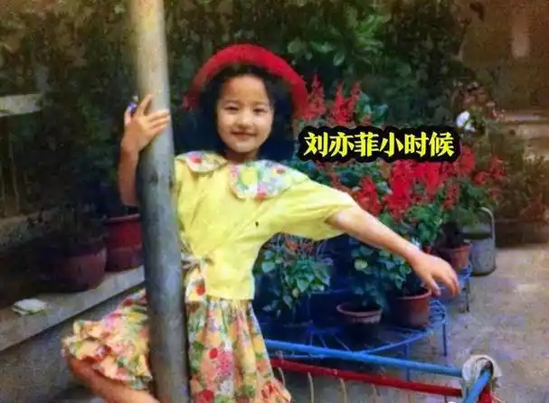 从此,陈金飞就拿刘亦菲当干女儿了,哦,对了,那个时候的干爹还很纯粹.