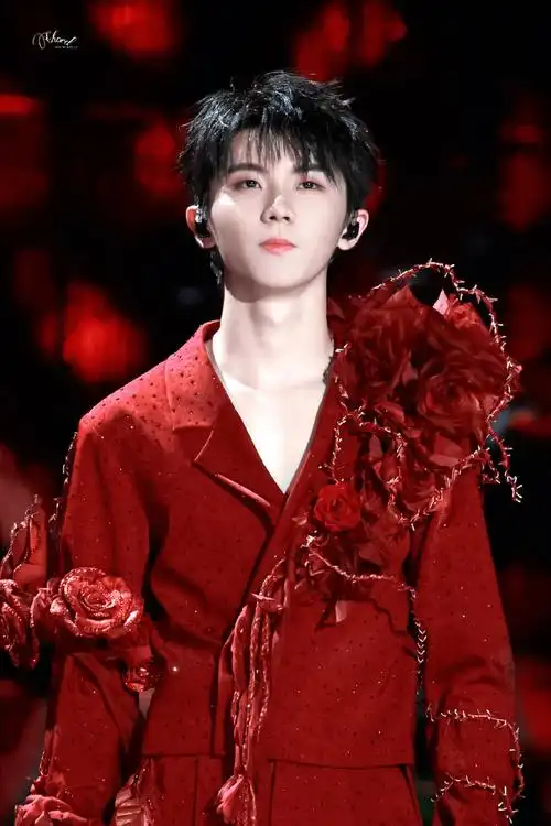 马嘉祺 廿一幕启循光赴盛景##马嘉祺1212生日快乐