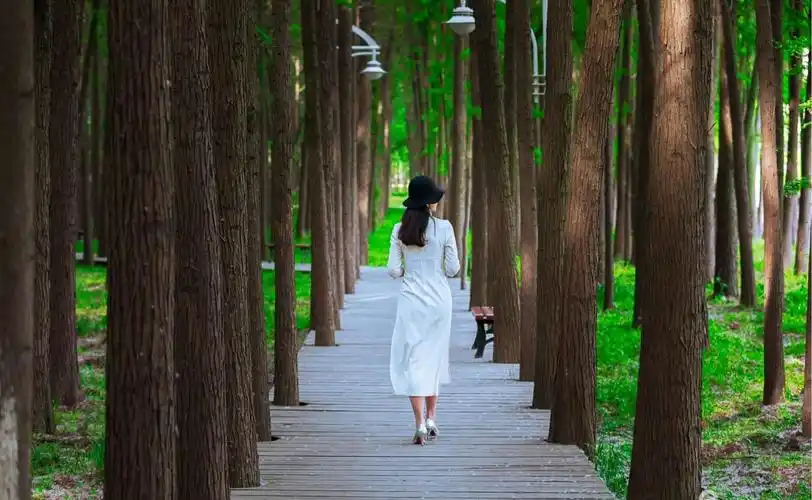 你笑迎带刺的玫瑰 昨天豪华的背影 醒来成废墟堆 生命叫你高贵