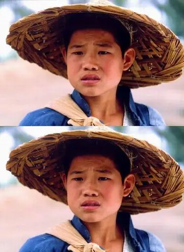 曾经的十大男童星:释小龙郝邵文快三十,现如今谁最火?