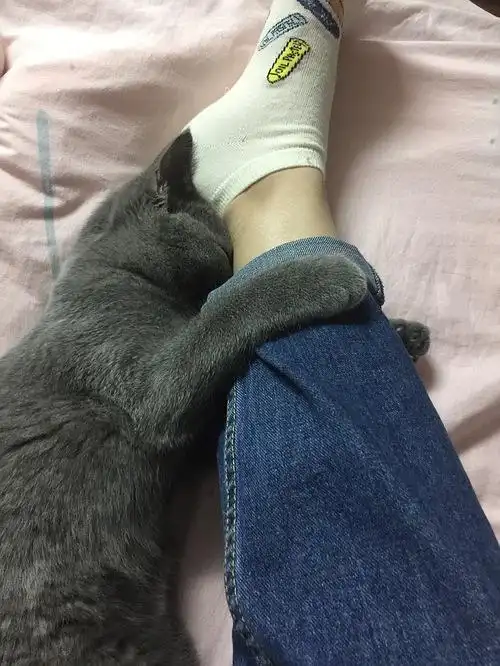 啃着脚丫子睡觉的?