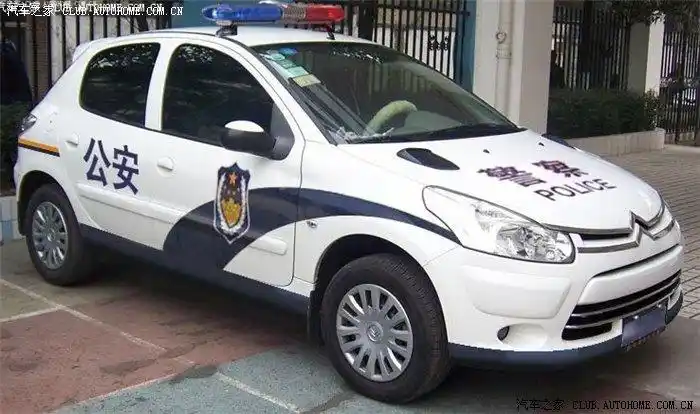 【图】天一冷异响偶尔复苏_雪铁龙c2论坛_汽车之家论坛