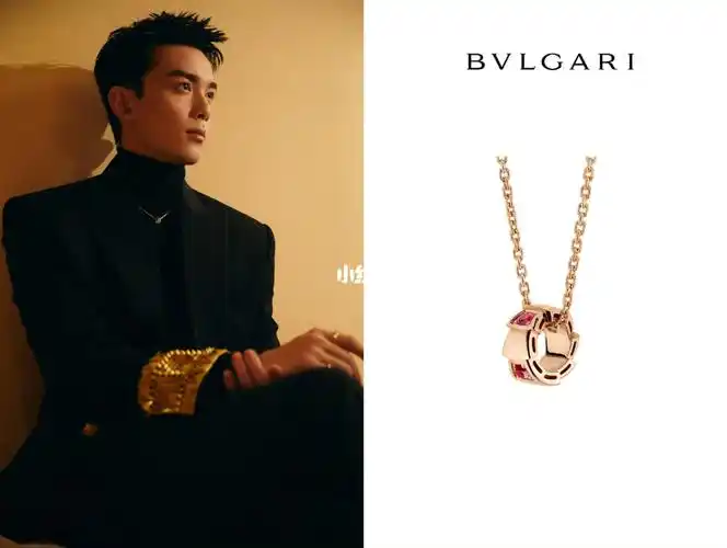 吴磊宝格丽活动  #吴磊  #宝格丽项链  #吴磊我可以  #吴磊同款