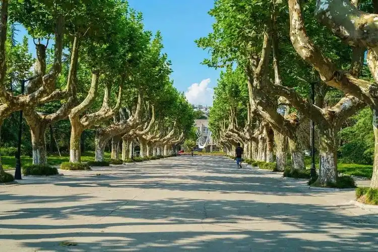 春在扬大美成诗快来校园走一走