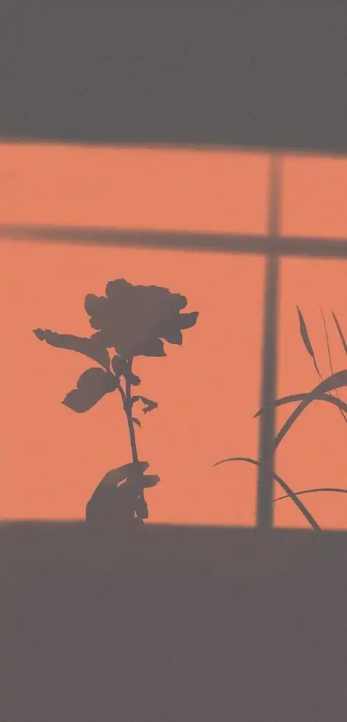 平铺壁纸渐变纯色/手绘壁纸/聊天背景/小清新ins/油画插画/锁屏壁纸