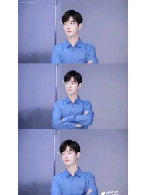 肖战小清新三宫格壁纸