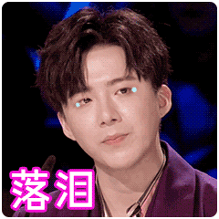 刘宇宁落泪百变达人gif动图_动态图_表情包下载_soogif
