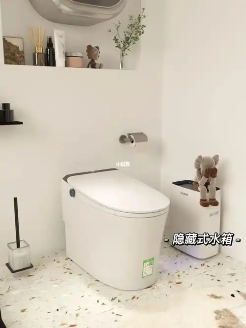 房屋改造|智能马桶真的太香了,国货之光了!