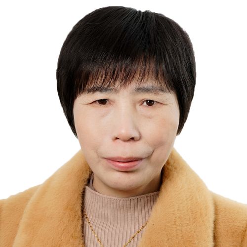 头套老人假发黑色真发全真自然60岁奶奶短发日常整顶假发