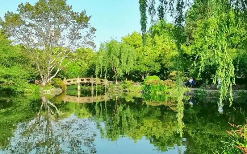 杭州西湖花港观鱼 一角