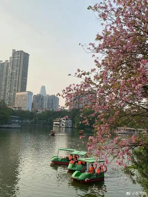 壁纸 风景 摄影 桌面 690_920 竖版 竖屏 手机