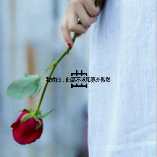 寻大神做一个图片,内容(我姓曲,曲高不求和寡亦傲然)下面右图是文字的