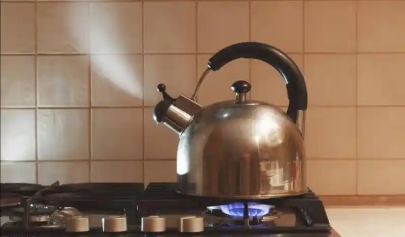 烧开一壶水,壶里的水由液态变成气态(汽化).