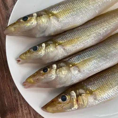 北海捕沙内脏海去鳞1518条沙丁鱼3包海鲜冷冻新鲜秋刀鱼