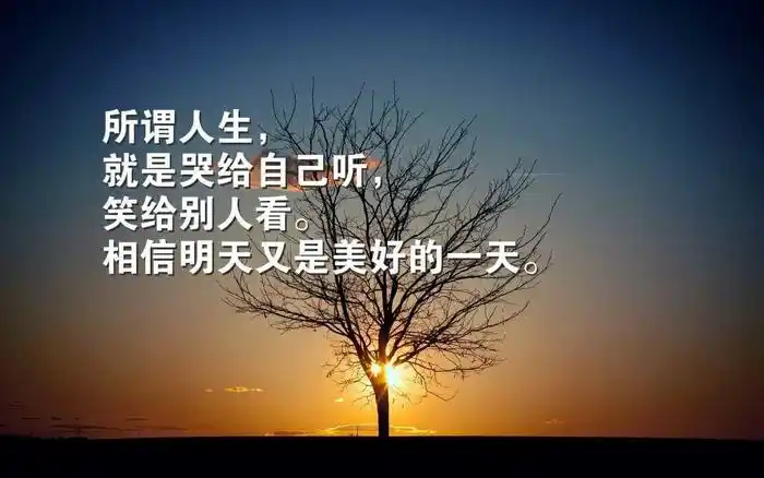 每日一语正能量感悟人生