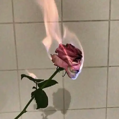 朋友圈背景图丨能轻易失去的东西 谈不上有多遗憾