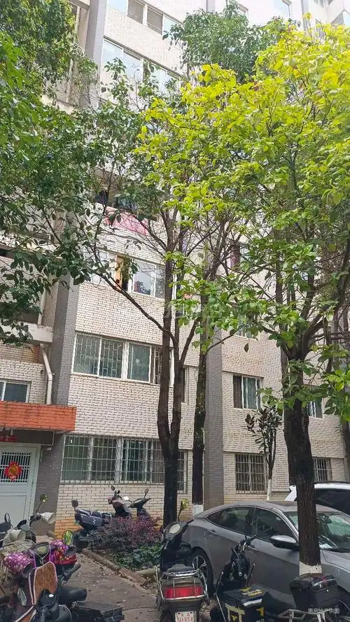 怡芳苑小区南北通透80平3室电梯房看房方便有钥匙