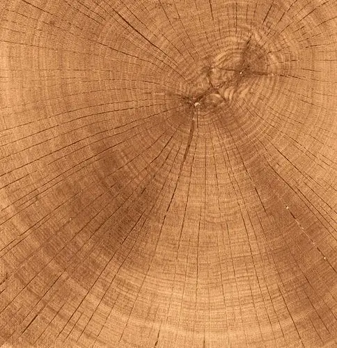 怀旧木头木桩纹理背景高清图片