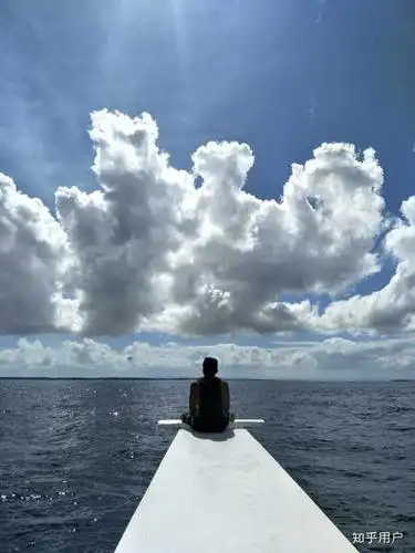 你拍过最孤独的照片是哪张?